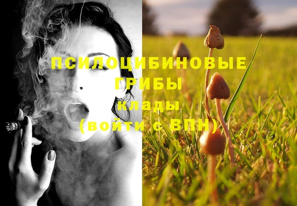 MDMA Premium VHQ Пересвет