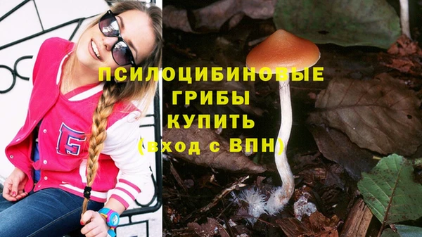 сатива Переславль-Залесский