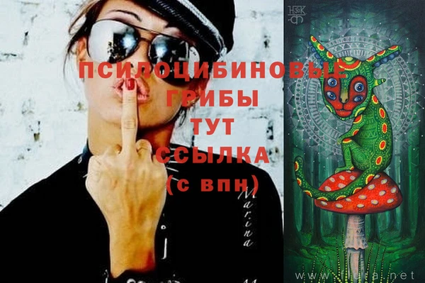 сатива Переславль-Залесский