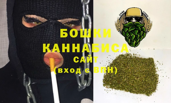 сатива Переславль-Залесский