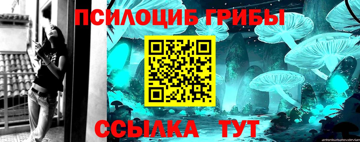 Псилоцибиновые грибы MAGIC MUSHROOMS  даркнет сайт  Псилоцибиновые грибы Psilocybe  Сегежа  Вход с VPN 